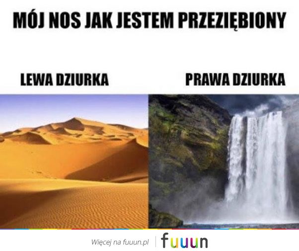 Suchar codzienny #480