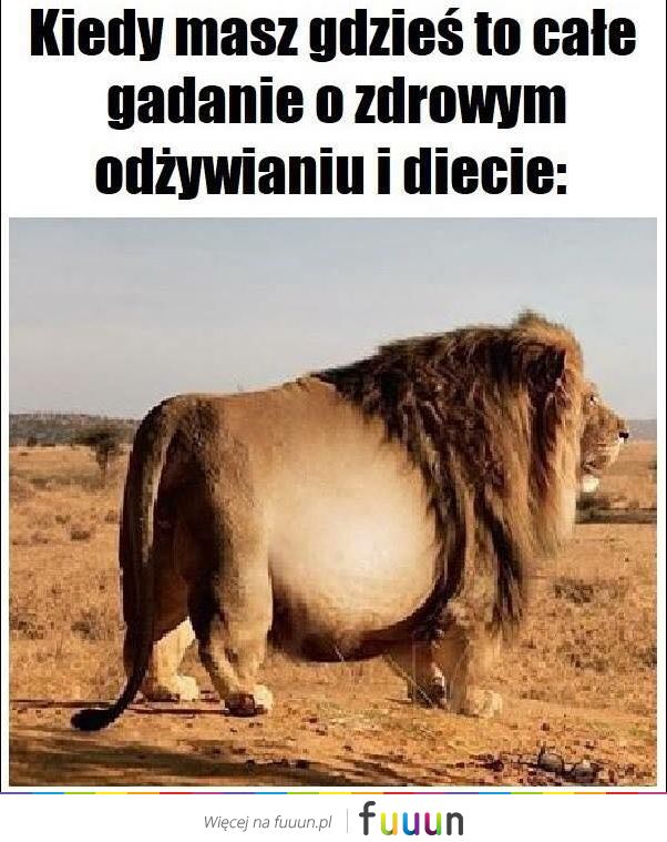 Suchar codzienny #510