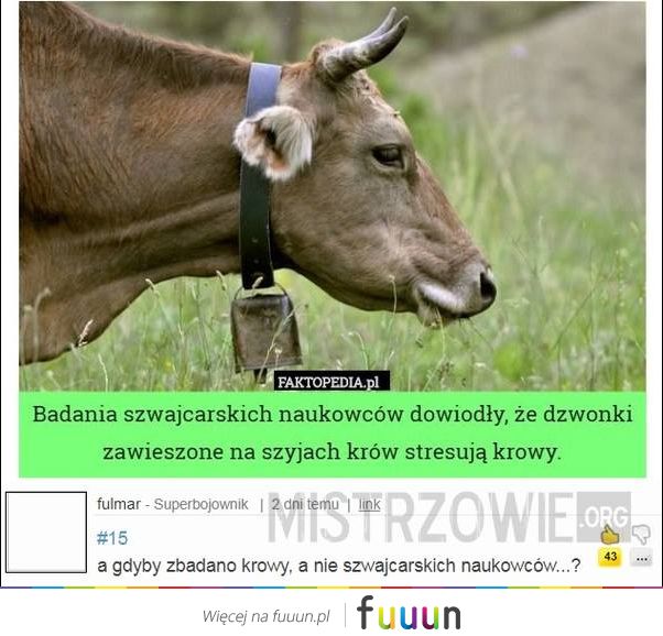Mistrzowie #1571