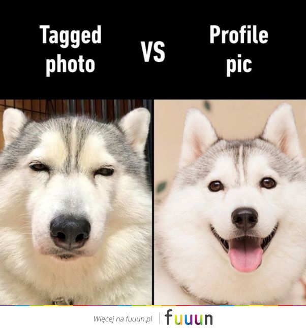 Suchar codzienny #1246