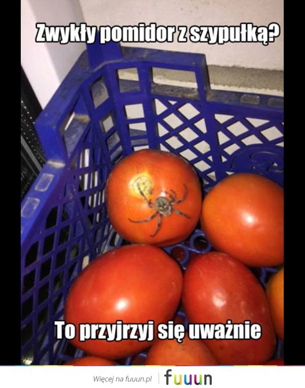 Ja Jebie #2914
