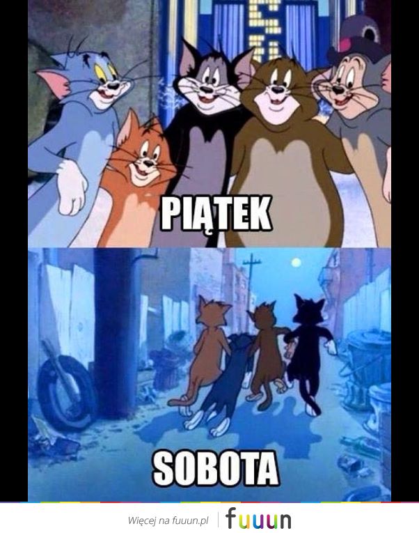 Suchar codzienny #80