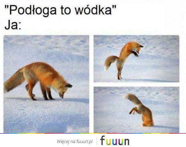 Suchar codzienny #479