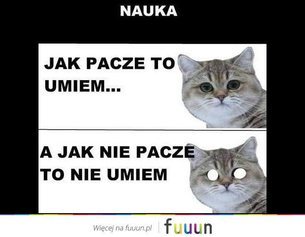 Suchar codzienny #97