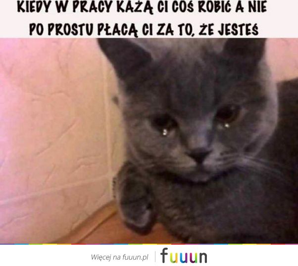 Suchar codzienny #1042