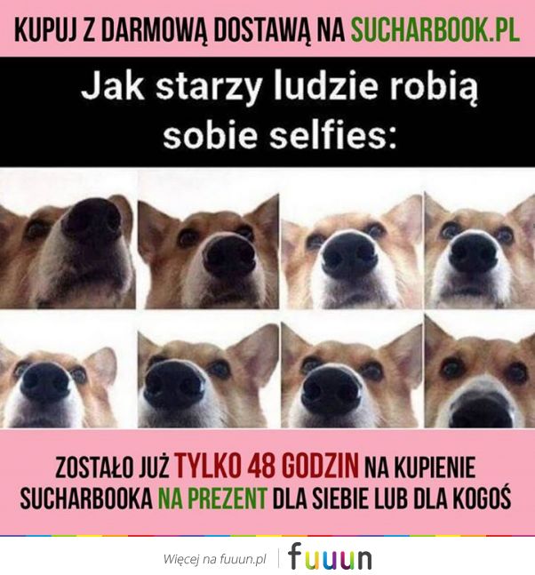 Suchar codzienny #570