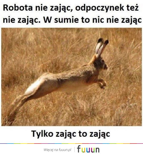 Suchar codzienny #1075