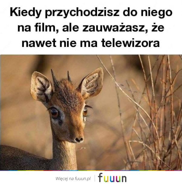 Ja Jebie #2513