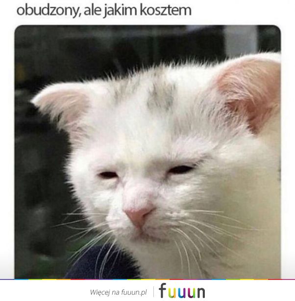 Suchar codzienny #1029