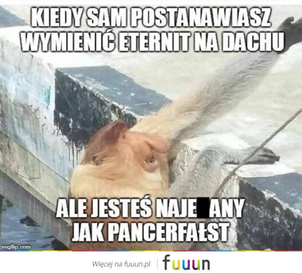 Ja Jebie #2433