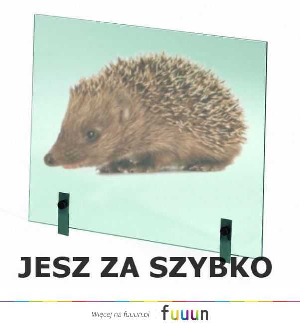 Suchar codzienny #1270