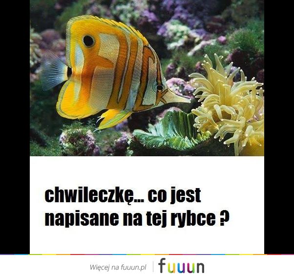 Ja Jebie #1319