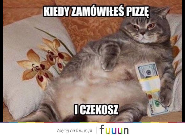 Suchar codzienny #1152