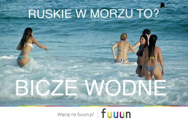 Suchar codzienny #44