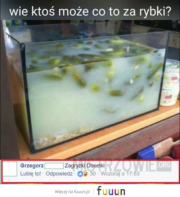 Mistrzowie #1555
