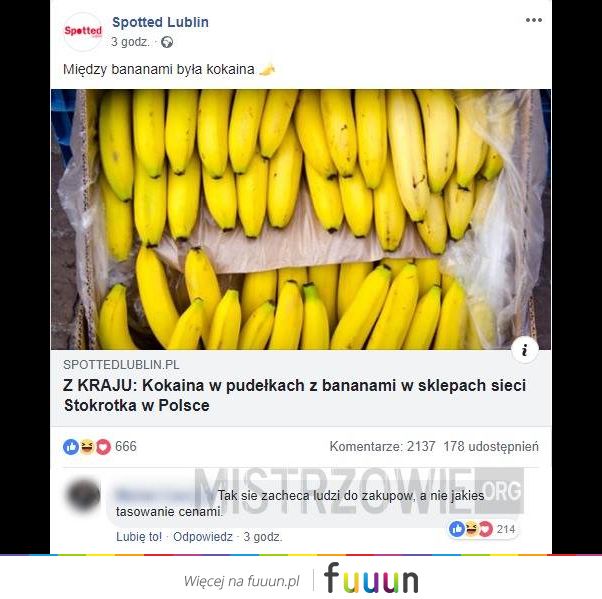 Mistrzowie #4177