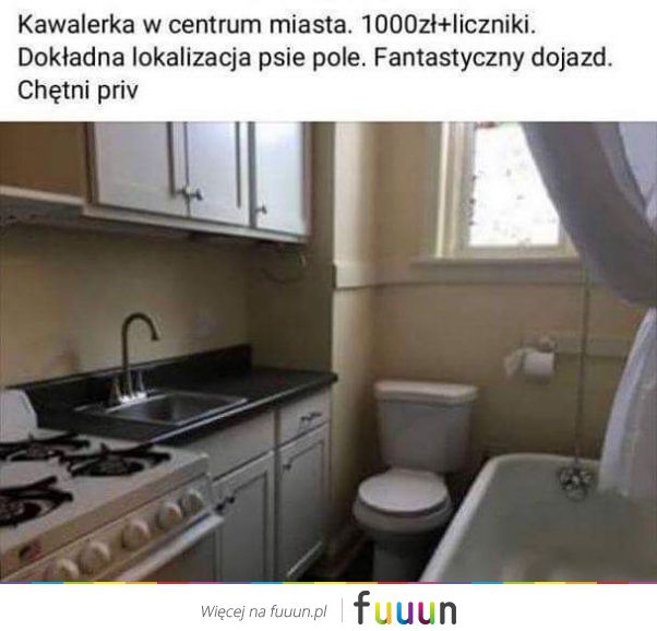 Suchar codzienny #571