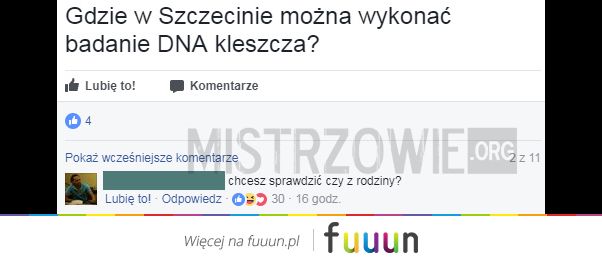 Mistrzowie #1547