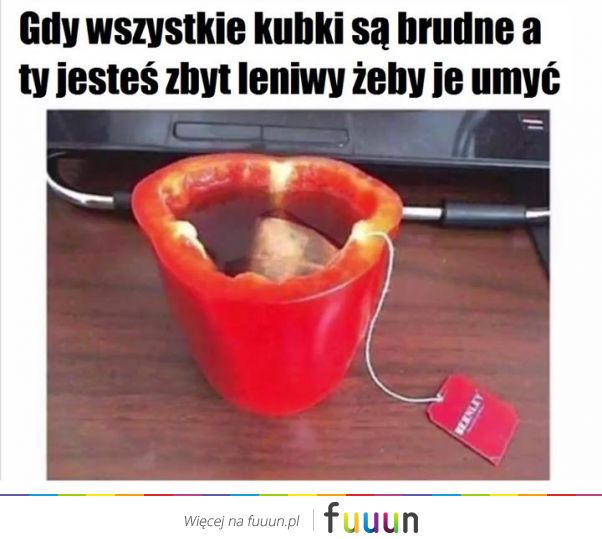 Suchar codzienny #396