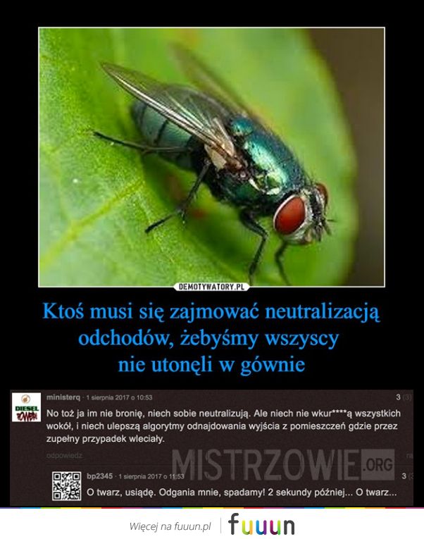 Mistrzowie #1532
