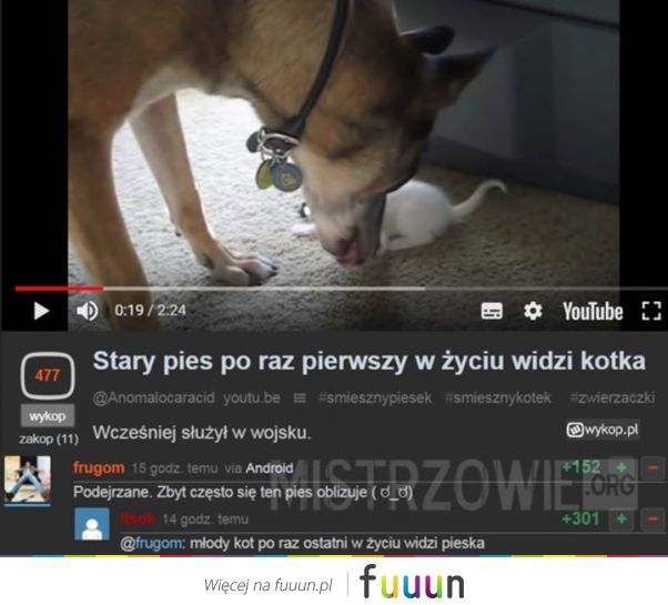 Mistrzowie #4788