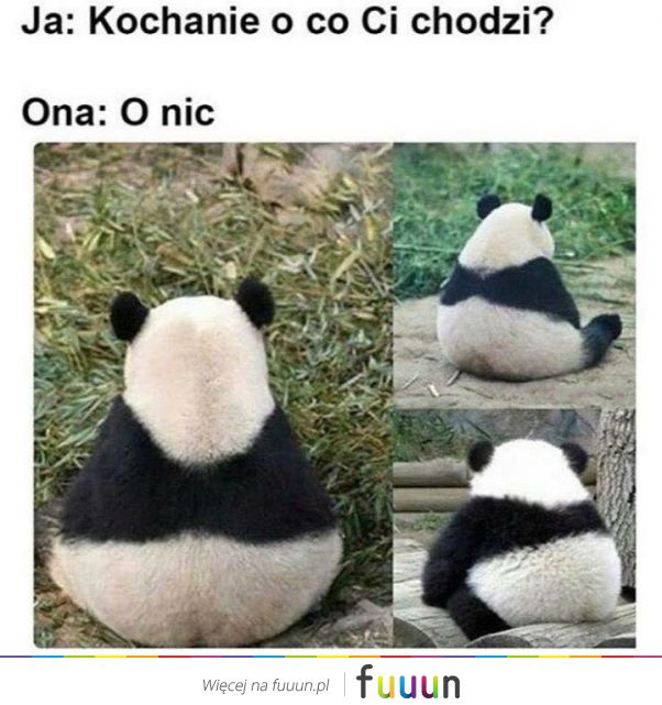 Suchar codzienny #524