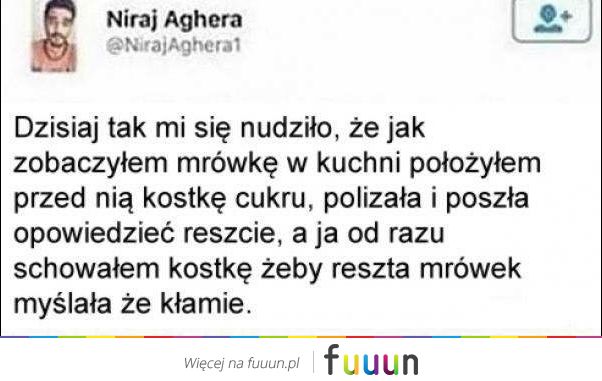 Suchar codzienny #651