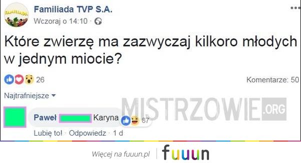 Mistrzowie #3712