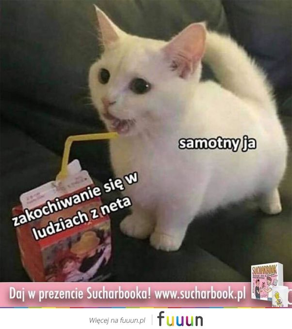 Suchar codzienny #635