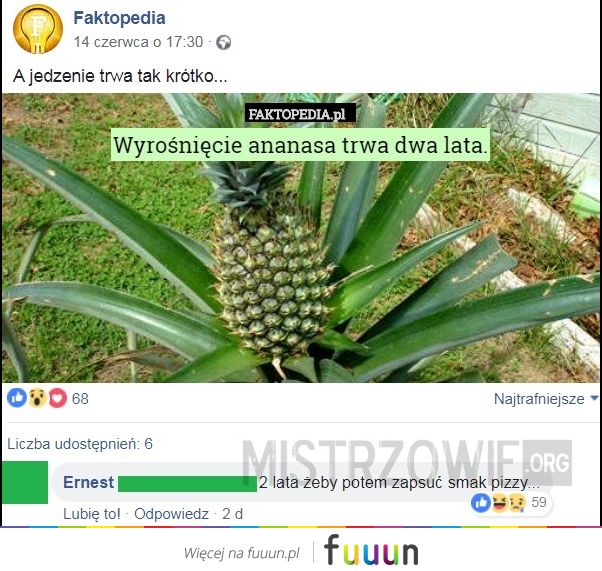 Mistrzowie #3292