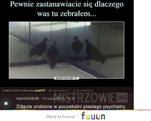 Mistrzowie #4819