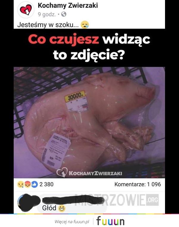 Mistrzowie #3297